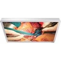 Notice EIZO CURATOR EX3241 Screen