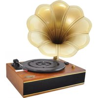 Notice Pyle PNGTT1R DJ Equipment