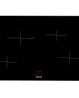 Notice BLANCO BIC75T Cooker