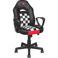 Notice TRUST RYON JUNIOR GXT 702 Gaming Chair