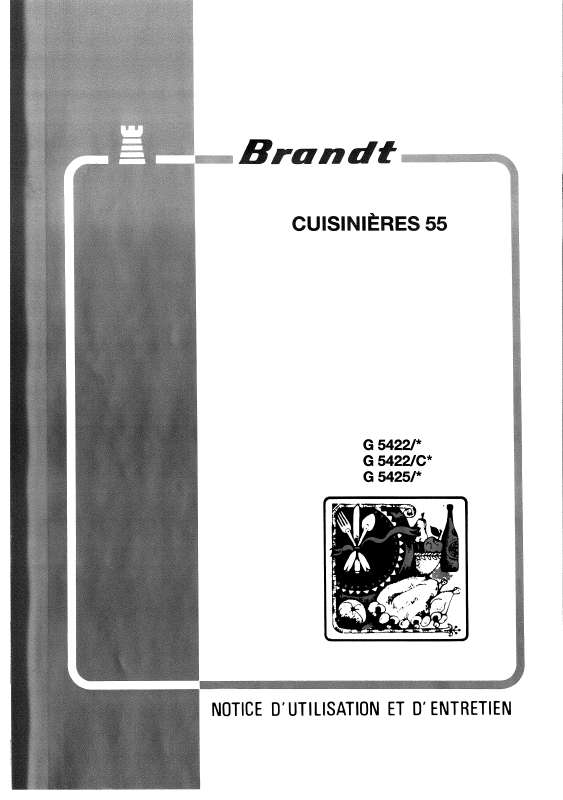 Guide utilisation BRANDT G5422  de la marque BRANDT