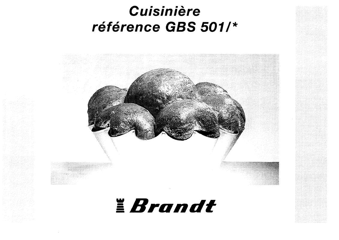 Guide utilisation BRANDT GBS501  de la marque BRANDT