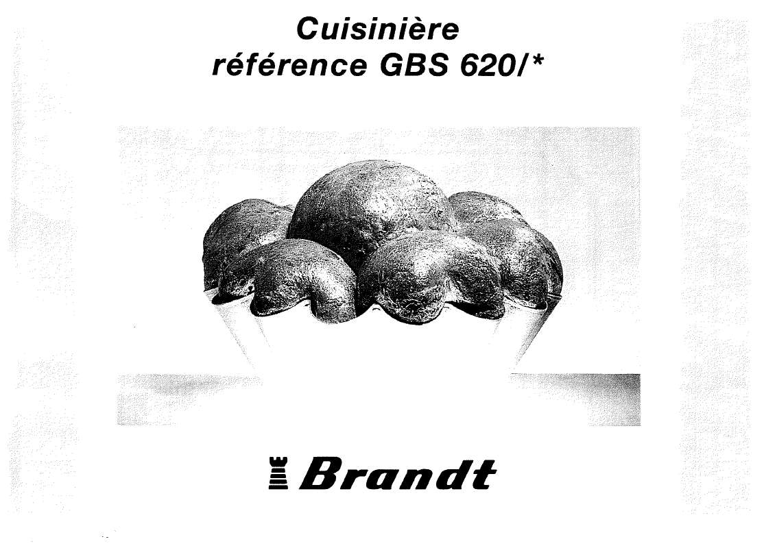 Guide utilisation BRANDT GBS620  de la marque BRANDT