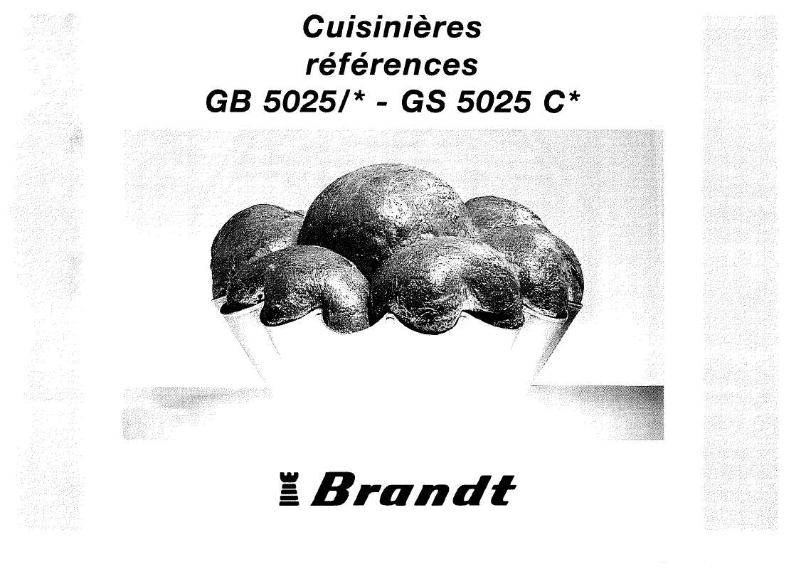 Guide utilisation BRANDT GS5025  de la marque BRANDT