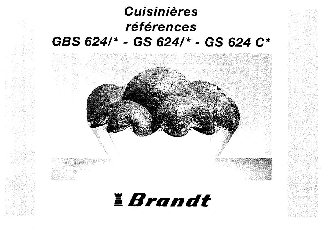 Guide utilisation BRANDT GS624  de la marque BRANDT