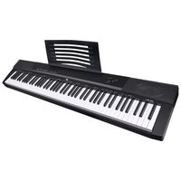 DP 881 WS MK