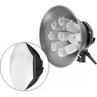 Notice Impact OCTACOOL-9 Lighting