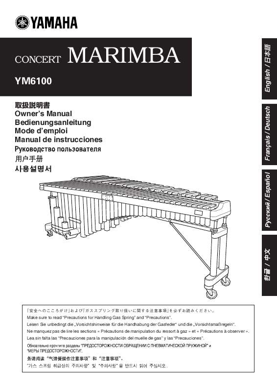Guide utilisation YAMAHA YM-6100  de la marque YAMAHA