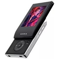 Notice AUDIOVOX SL5008 Mp3 player