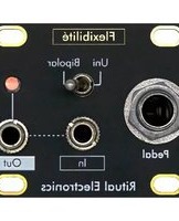 Notice Ritual Electronics FLEXIBILITé Synthesizer