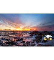 Viera TX-50DXW804 PANASONIC