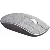 Notice RAPOO 3510 PLUS Souris