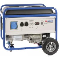 Notice Endress ESE 6000 BS Generator
