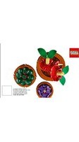 Notice LEGO ICONS 10329 Toys