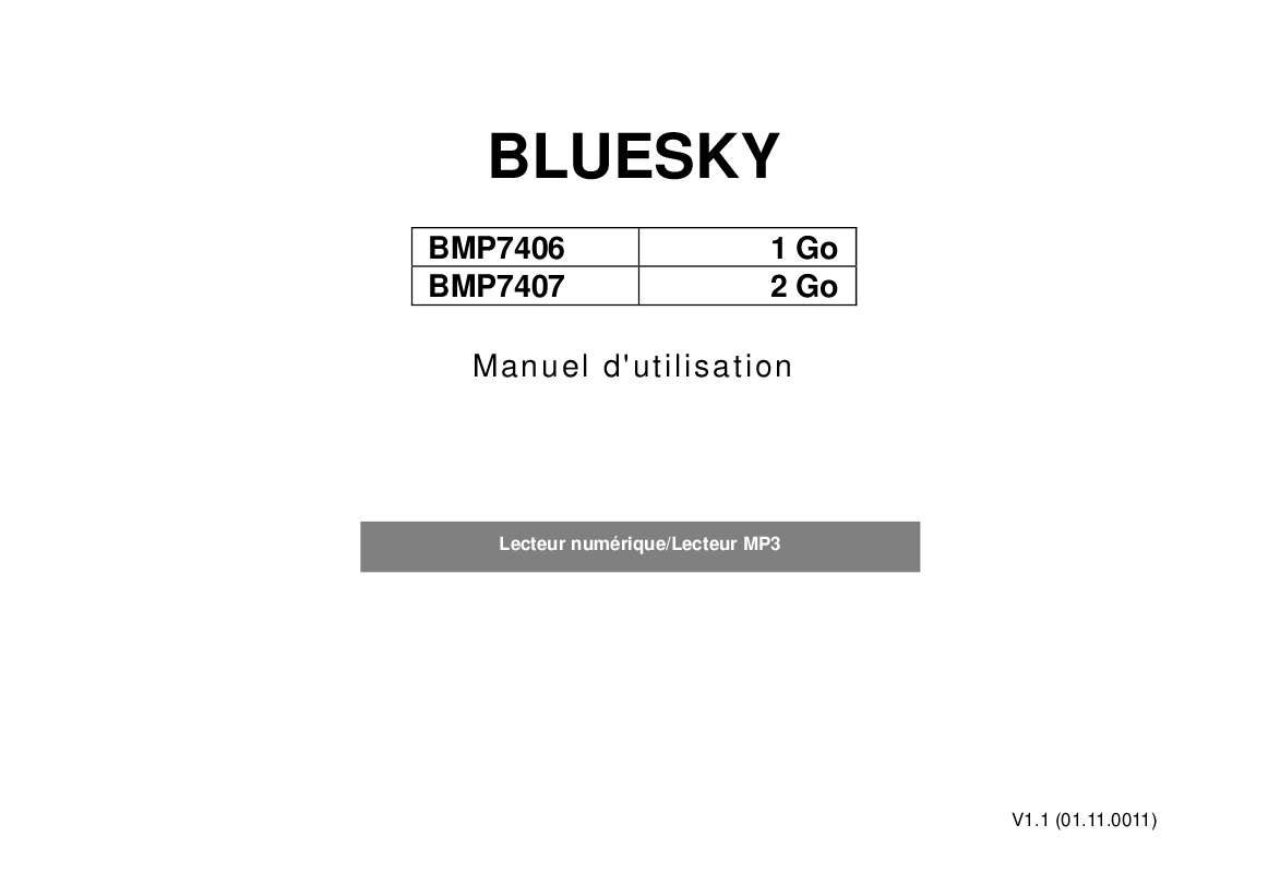 Guide utilisation  BLUESKY BMP7406  de la marque BLUESKY