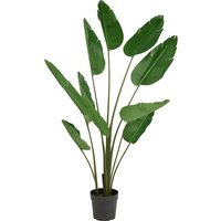 Notice IKEA FEJKA 305.780.71 Plante artificielle