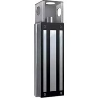Notice LiftMaster MG1300 Serrure électrique