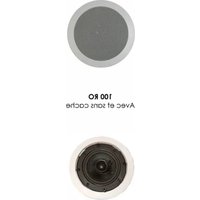 Notice DAVIS 100 RO Haut-parleur
