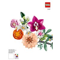 Notice LEGO BOTANICAL COLLECTION 10342 Toys