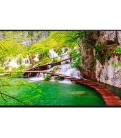 Manual PANASONIC TH-43CQE2U Monitor