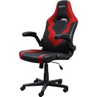 Notice TRUST RIYE GXT 703R Chaise de jeux