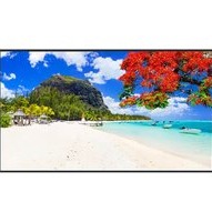Manual PANASONIC TH-75SQ2HW Monitor
