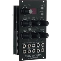 Notice Erica Synths PERKONS VOICE Sound module