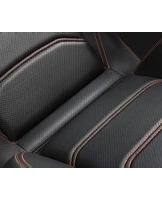 Notice Cougar ARMOR EVO M Chaise de jeux