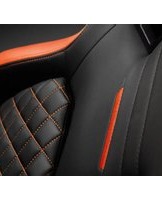 Notice Cougar DEFENSOR Chaise de jeux