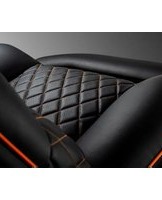 Notice Cougar OVERLORD Chaise de jeux