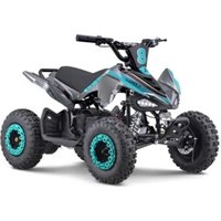 eBumbleBee ATV60M Lamax