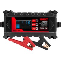 Notice DS18 INF-C15A Chargeur de batterie