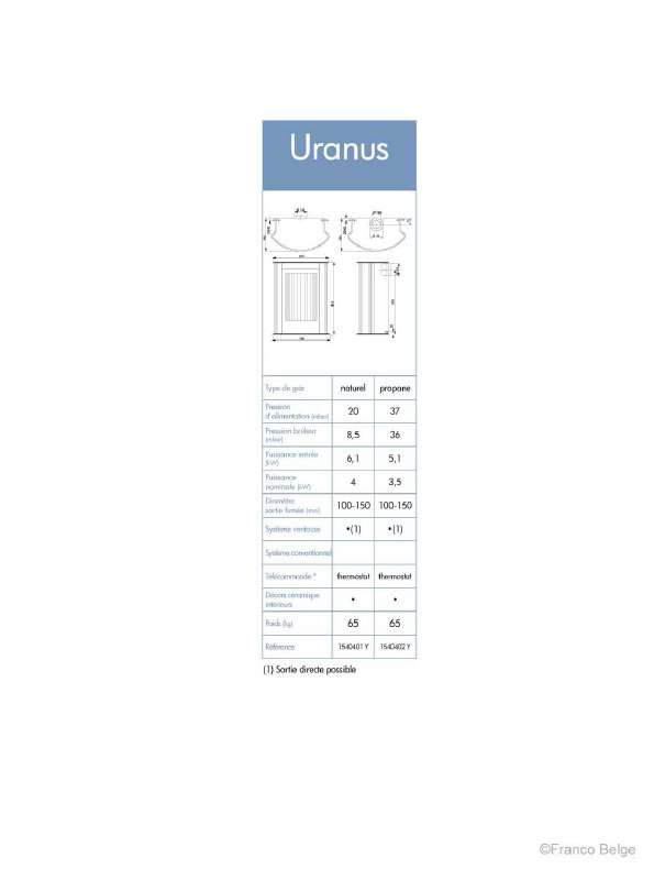 Guide utilisation  STAUB URANUS GAZ  de la marque STAUB