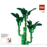 Notice LEGO BOTANICAL COLLECTION 10344 Jouets