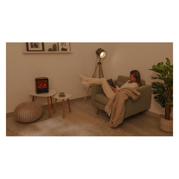 Notice CECOTEC READYWARM 1500 CERAMIC FLAMES Fan heater