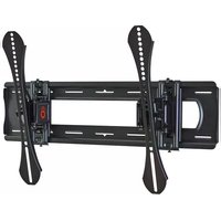 EGLT2 Echogear