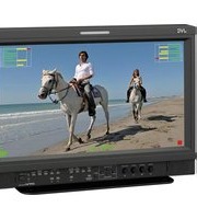 Manual JVC DT-E17L4G Monitor