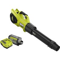 R36XBLW30 RYOBI