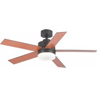 Manual BLAUPUNKT BP2011 Fan