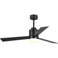 Manual BLAUPUNKT BP2012 Fan