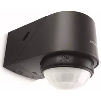 Manual PHILIPS HUE BLUESKY Lighting