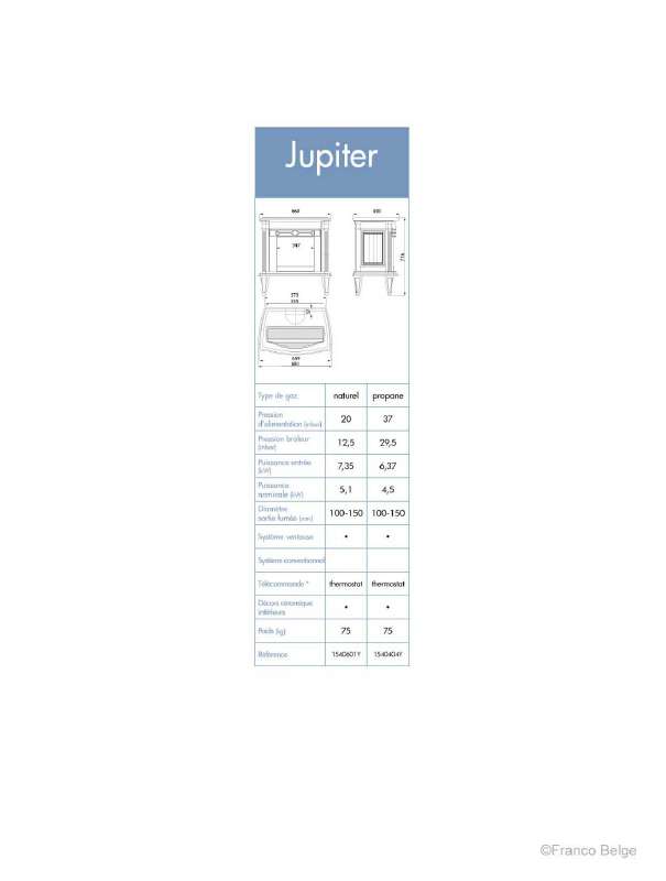 Guide utilisation  STAUB JUPITER GAZ  de la marque STAUB