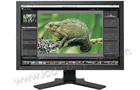 Notice EIZO COLORGRAPHIC CG241W Professional Monitor