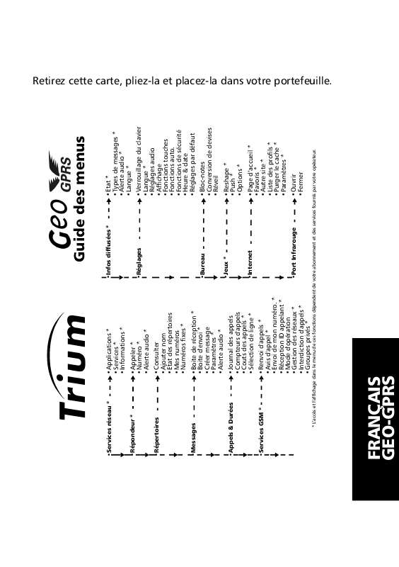 Guide utilisation TRIUM GEO GRPS  de la marque TRIUM
