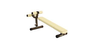 Notice CYBEX INTERNATIONAL 16161 ADJUSTABLE DECLINE BENCH Banc de musculation