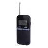 Notice BRANDT BR100D Radio