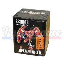 Notice MAFIANUMERIQUE MN2002 Enregistreur vidéo numérique