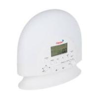 Notice HARPER WL2 Réveil lumineux