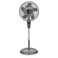 BASF 17VRC-I/PIED BIONAIRE