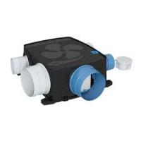 AGALINA EXTRA PLAT SAUTER